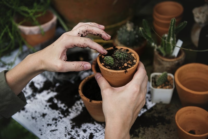 Environmentally conscious gardening